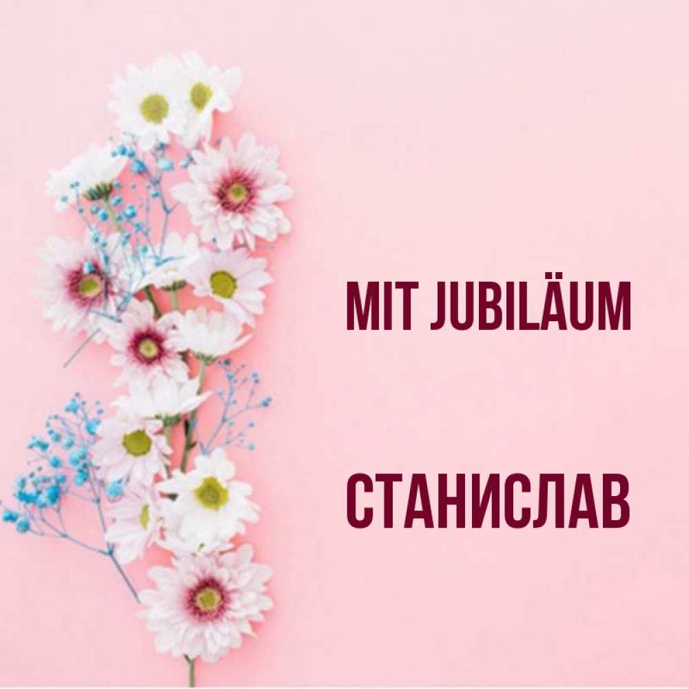 Открытка на каждый день с именем, Станислав Mit Jubiläum Родная моя с днем рождения тебя картинка с цветами белыми и голубыми Прикольная открытка с пожеланием онлайн скачать бесплатно 