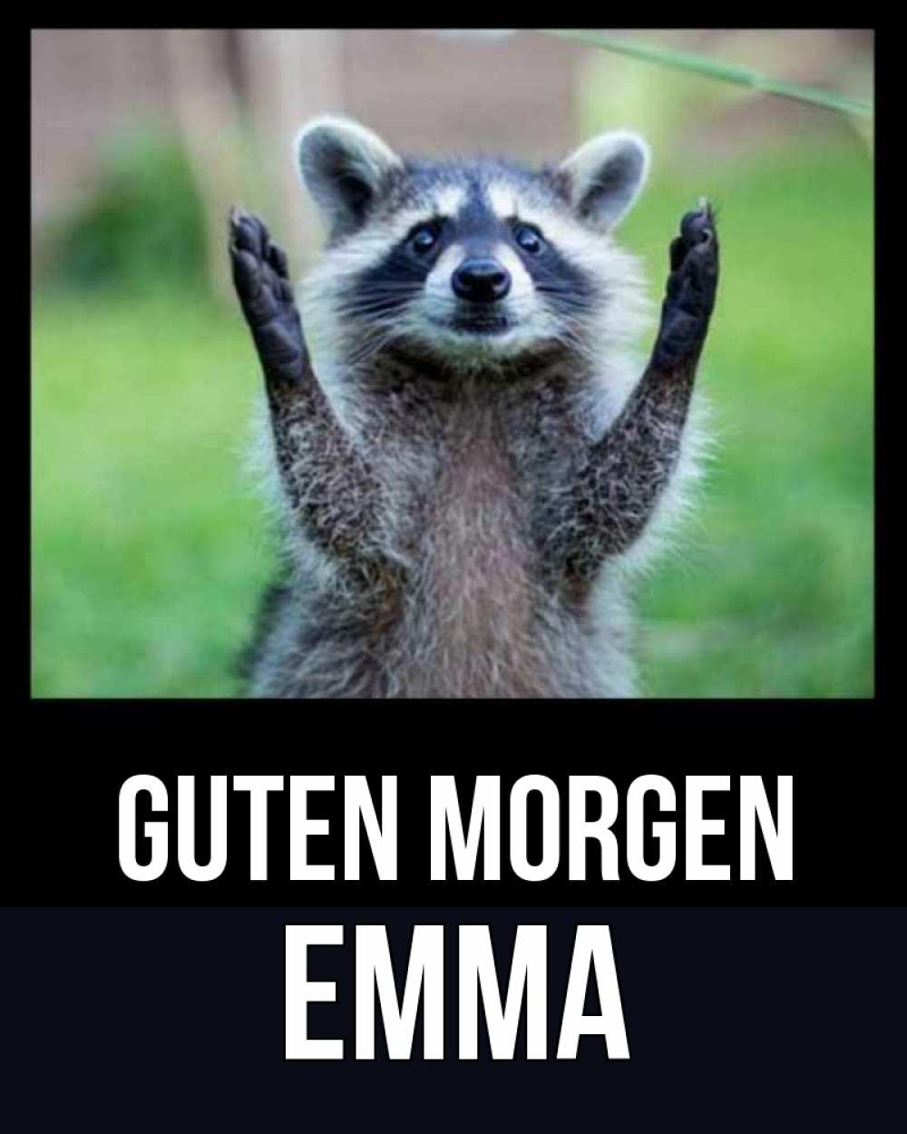 Открытка на каждый день с именем, Emma Guten Morgen хорошее настроение утречком Прикольная открытка с пожеланием онлайн скачать бесплатно 