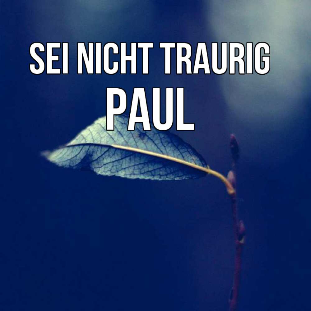 Открытка на каждый день с именем, Paul Sei nicht traurig растение Прикольная открытка с пожеланием онлайн скачать бесплатно 
