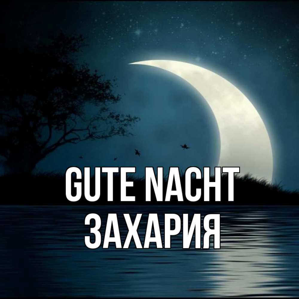 Открытка на каждый день с именем, Захария Gute Nacht вода Прикольная открытка с пожеланием онлайн скачать бесплатно 