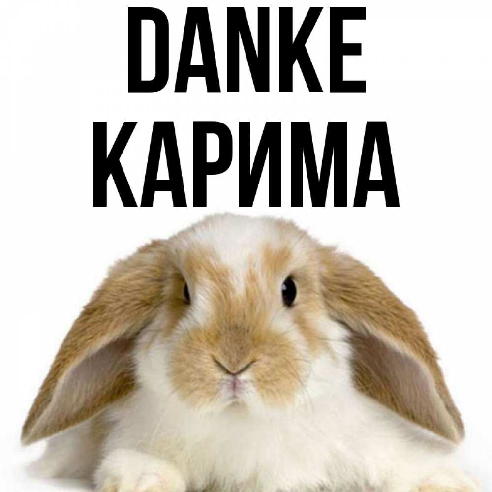 Открытка на каждый день с именем, Карима Danke коричнево белый заяц Прикольная открытка с пожеланием онлайн скачать бесплатно 
