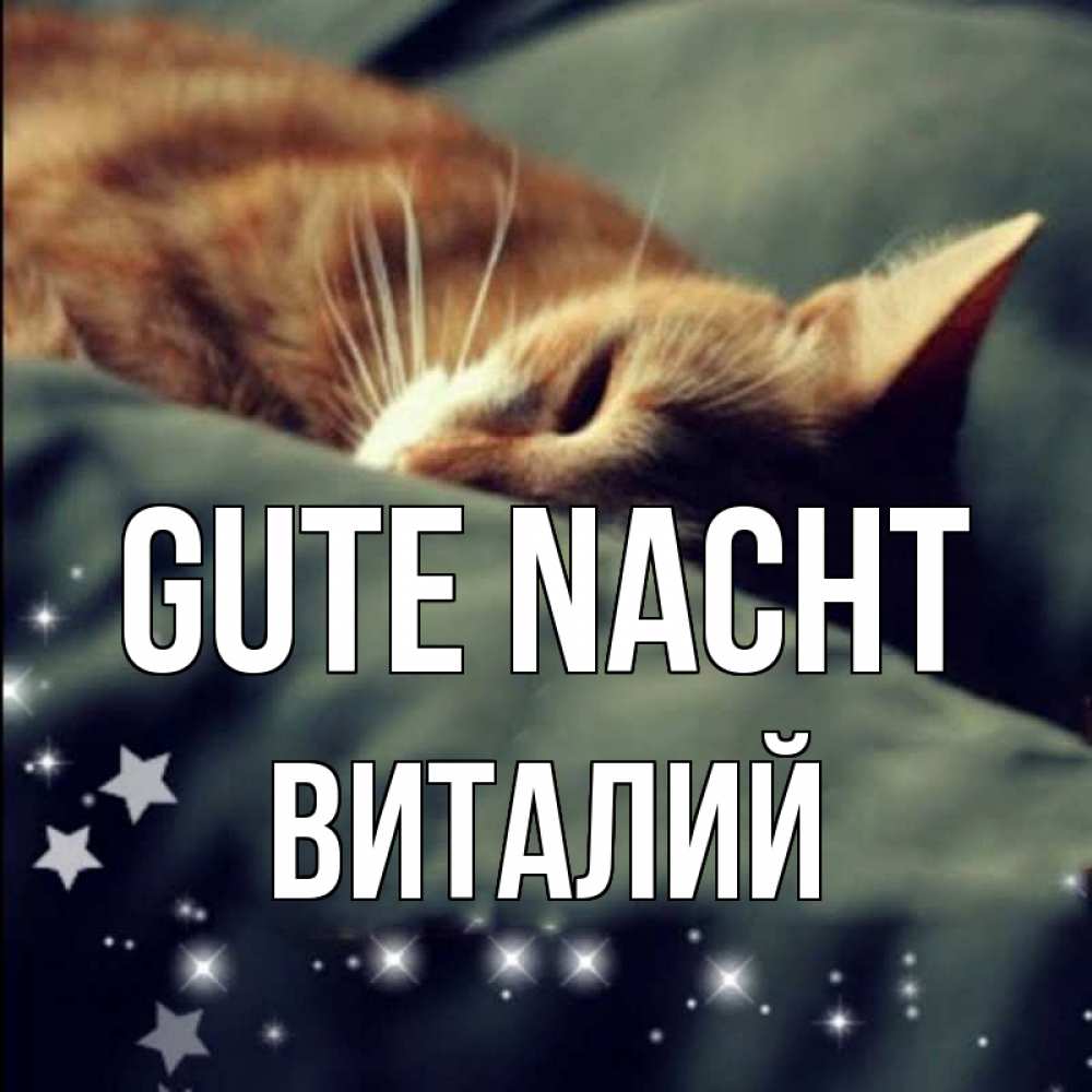 Открытка на каждый день с именем, Виталий Gute Nacht кроватка Прикольная открытка с пожеланием онлайн скачать бесплатно 