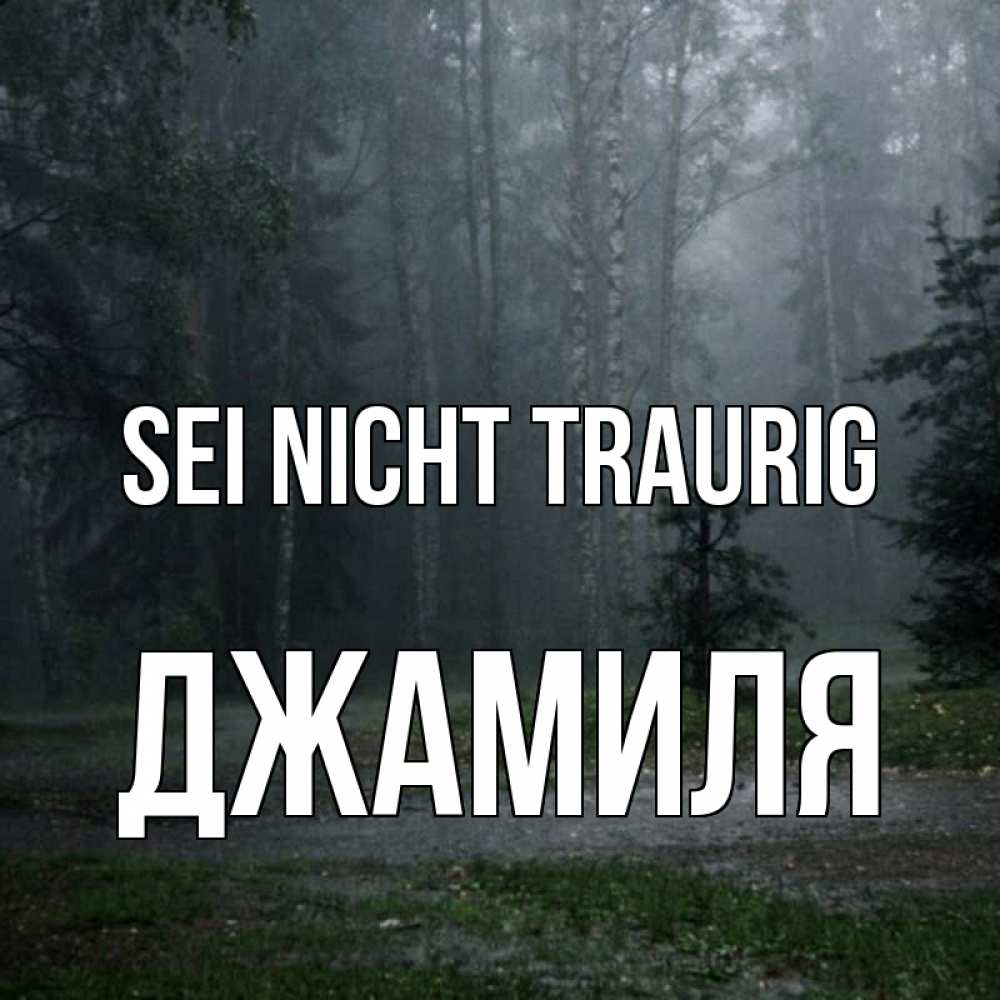 Открытка на каждый день с именем, Джамиля Sei nicht traurig осень Прикольная открытка с пожеланием онлайн скачать бесплатно 