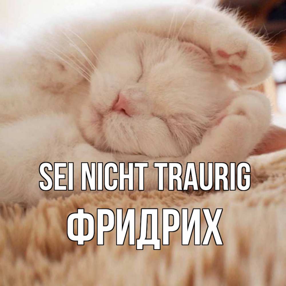 Открытка на каждый день с именем, Фридрих Sei nicht traurig белый кот Прикольная открытка с пожеланием онлайн скачать бесплатно 
