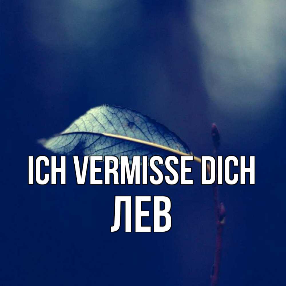 Открытка на каждый день с именем, Лев Ich vermisse dich одна ветка 1 Прикольная открытка с пожеланием онлайн скачать бесплатно 