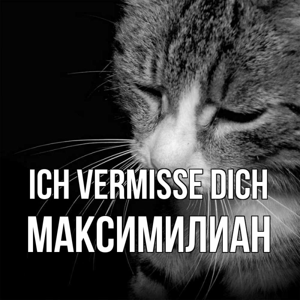 Открытка на каждый день с именем, Максимилиан Ich vermisse dich мне скучно Прикольная открытка с пожеланием онлайн скачать бесплатно 