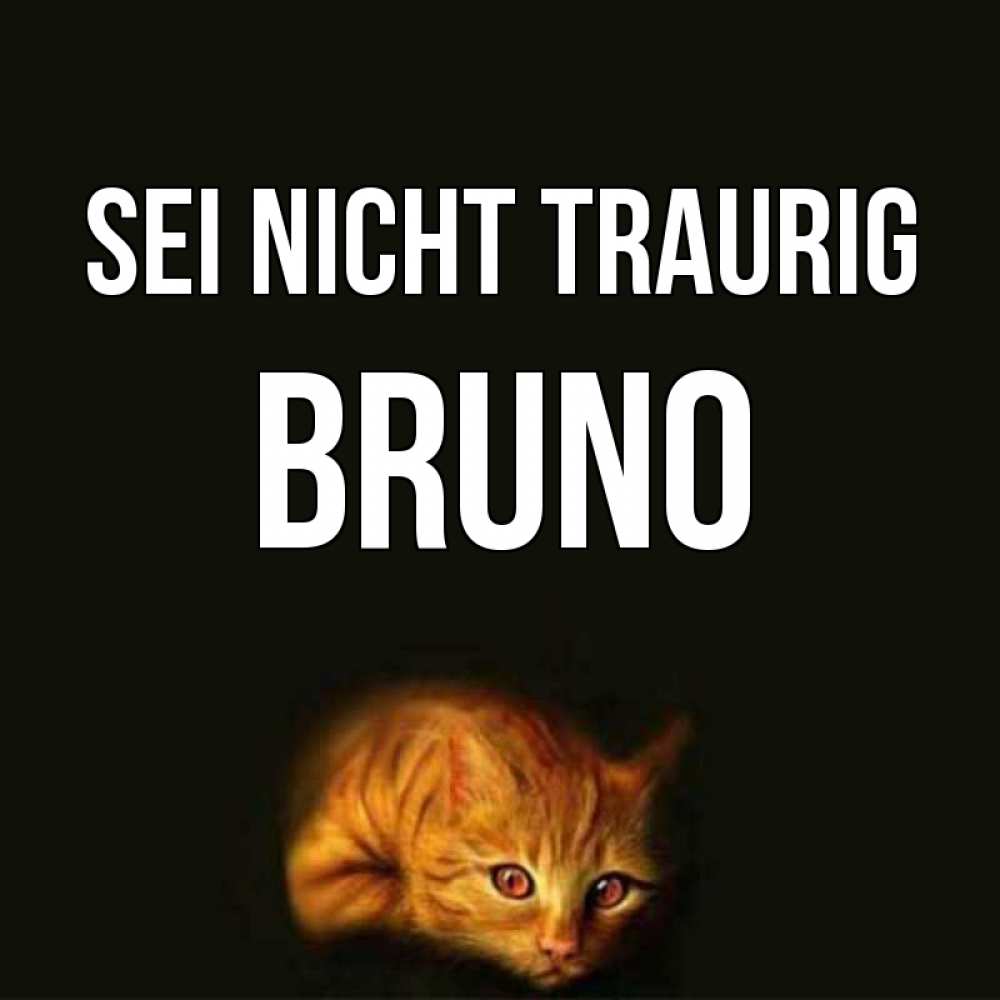 Открытка на каждый день с именем, Bruno Sei nicht traurig лежащий кот в темноте Прикольная открытка с пожеланием онлайн скачать бесплатно 