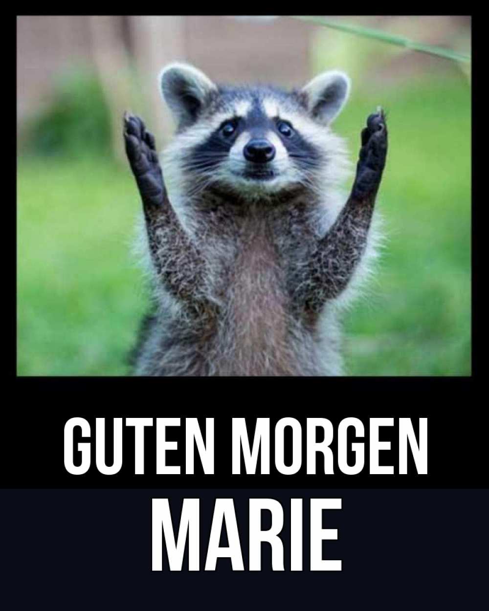 Открытка на каждый день с именем, Marie Guten Morgen хорошее настроение утречком Прикольная открытка с пожеланием онлайн скачать бесплатно 