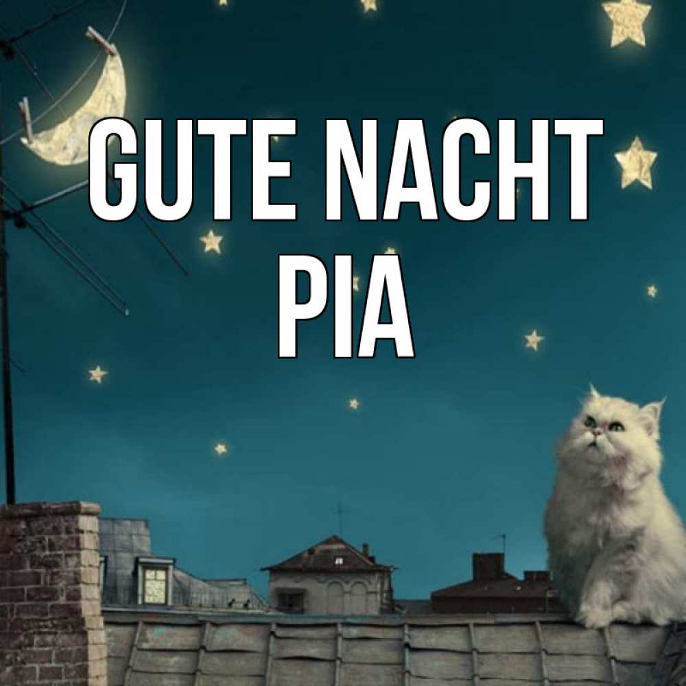 Открытка на каждый день с именем, Pia Gute Nacht белый кот сидит на крыше Прикольная открытка с пожеланием онлайн скачать бесплатно 