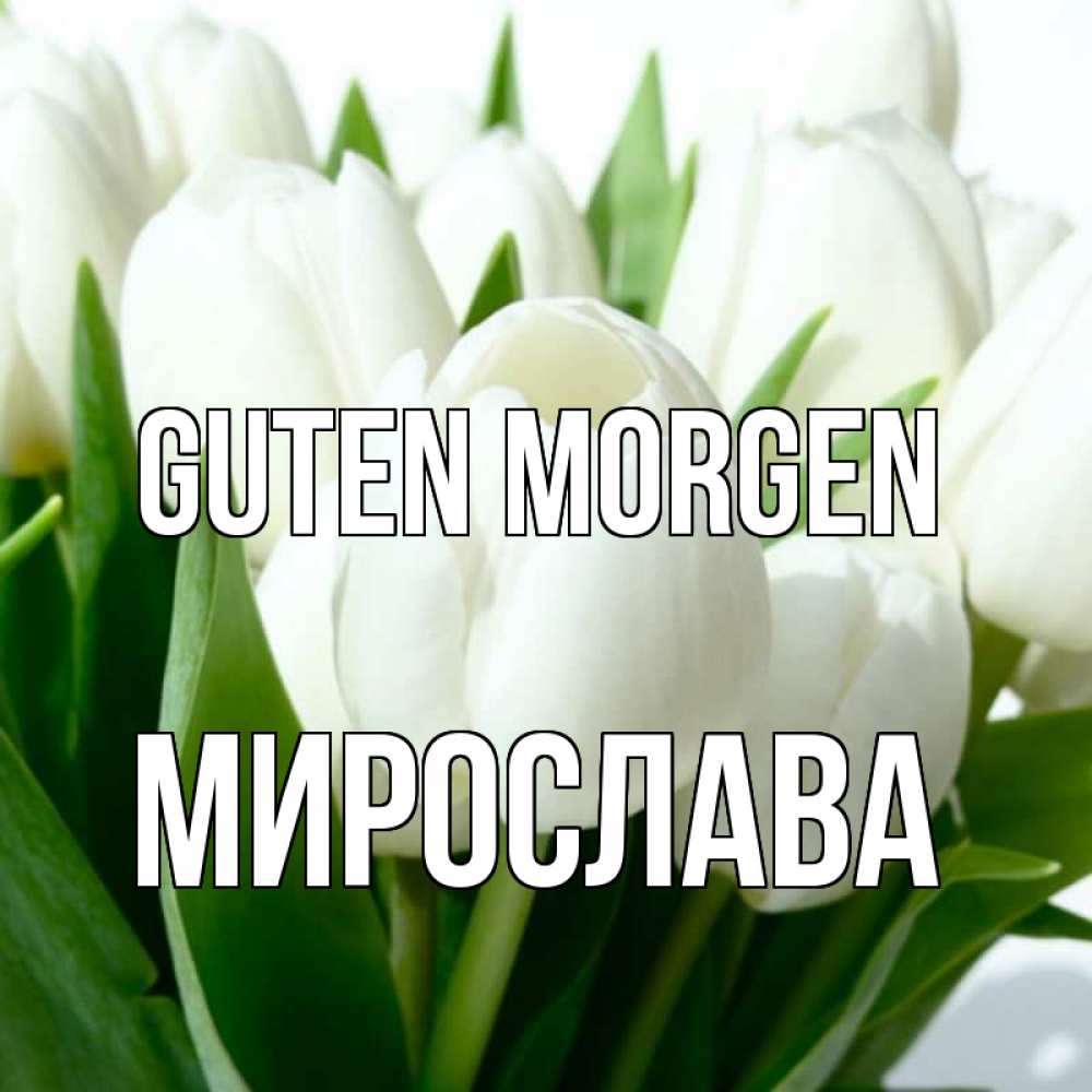 Открытка на каждый день с именем, Мирослава Guten Morgen открытки на каждый день по именам Прикольная открытка с пожеланием онлайн скачать бесплатно 