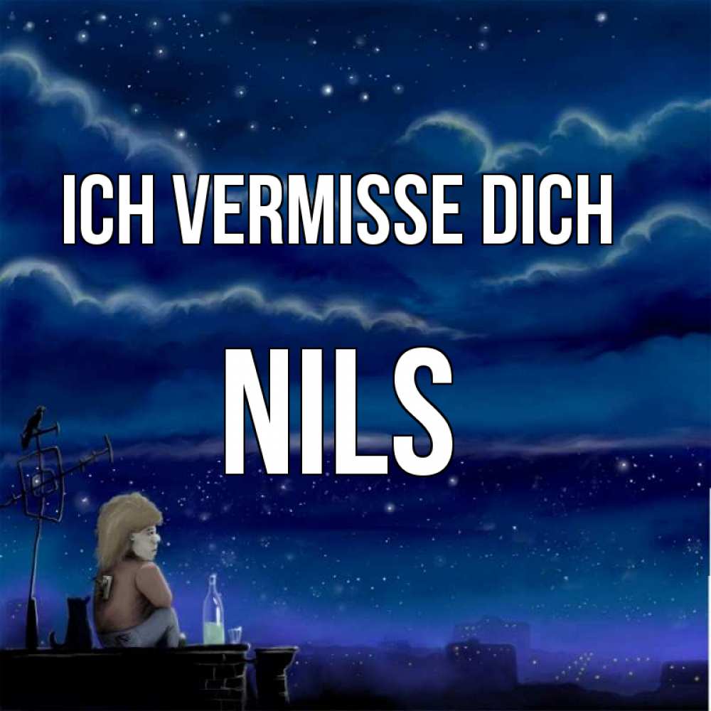 Открытка на каждый день с именем, Nils Ich vermisse dich на крыше 1 Прикольная открытка с пожеланием онлайн скачать бесплатно 
