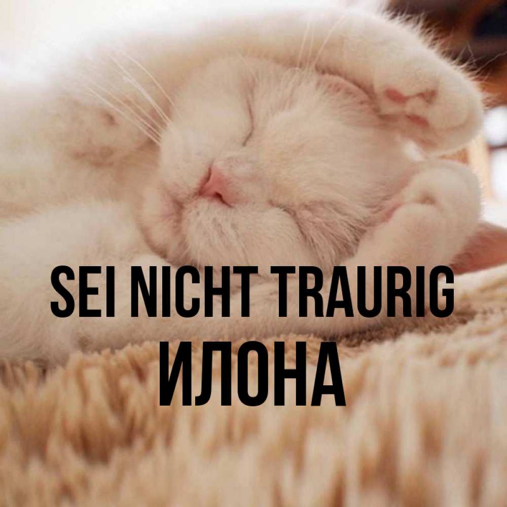 Открытка на каждый день с именем, Илона Sei nicht traurig Котенок спит Прикольная открытка с пожеланием онлайн скачать бесплатно 
