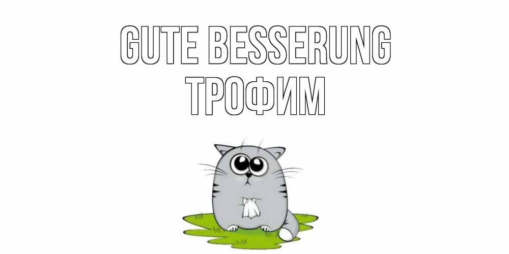 Открытка на каждый день с именем, Трофим Gute Besserung кот и открытки про выздоровление Прикольная открытка с пожеланием онлайн скачать бесплатно 