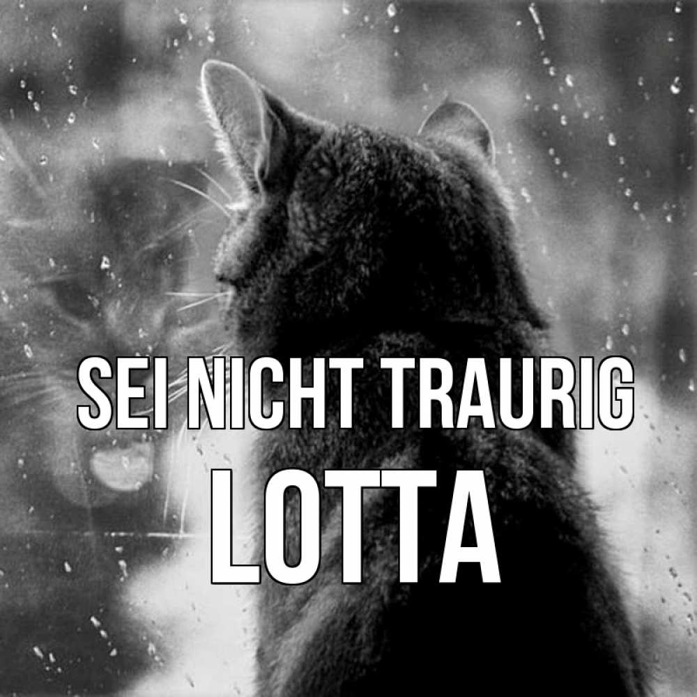 Открытка на каждый день с именем, Lotta Sei nicht traurig отражение кота 1 Прикольная открытка с пожеланием онлайн скачать бесплатно 