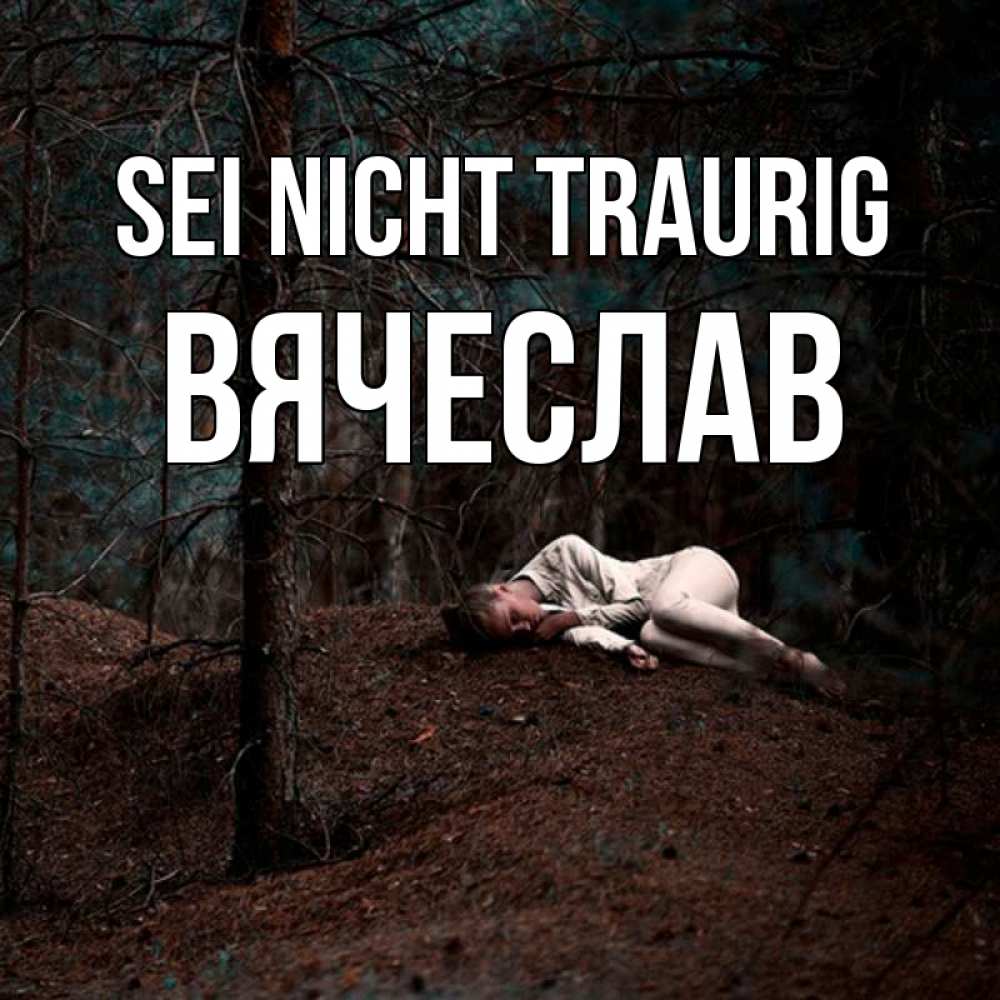 Открытка на каждый день с именем, Вячеслав Sei nicht traurig лес Прикольная открытка с пожеланием онлайн скачать бесплатно 