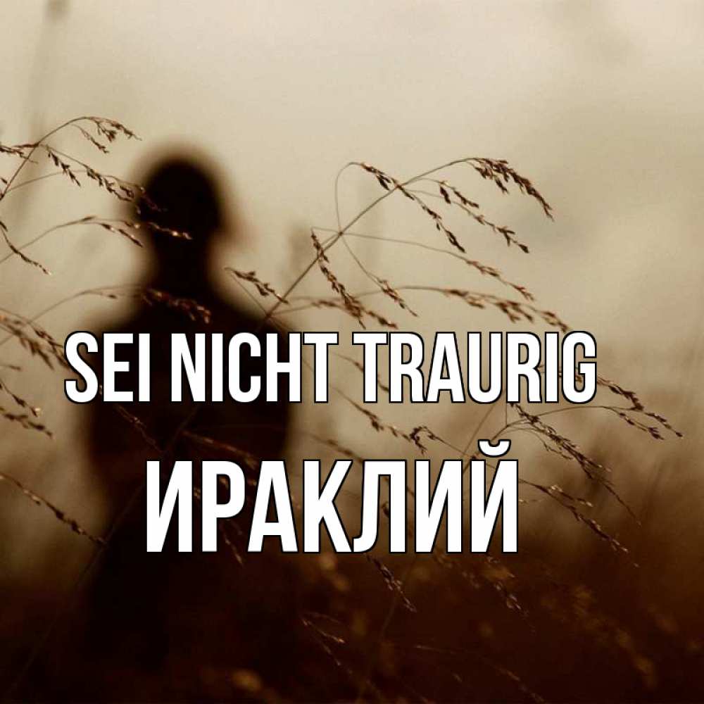 Открытка на каждый день с именем, Ираклий Sei nicht traurig грусть Прикольная открытка с пожеланием онлайн скачать бесплатно 