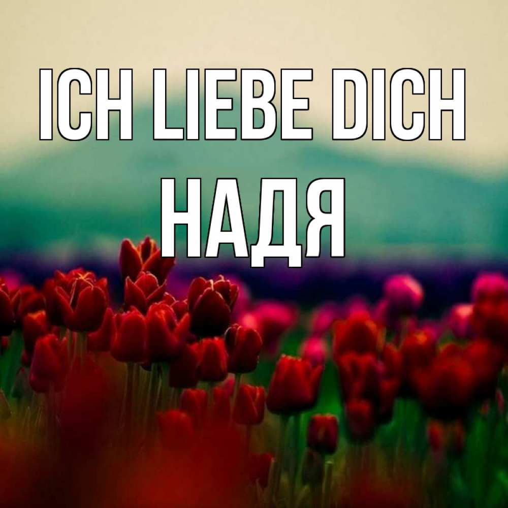 Открытка на каждый день с именем, Надя Ich liebe dich тюльпаны 4 Прикольная открытка с пожеланием онлайн скачать бесплатно 