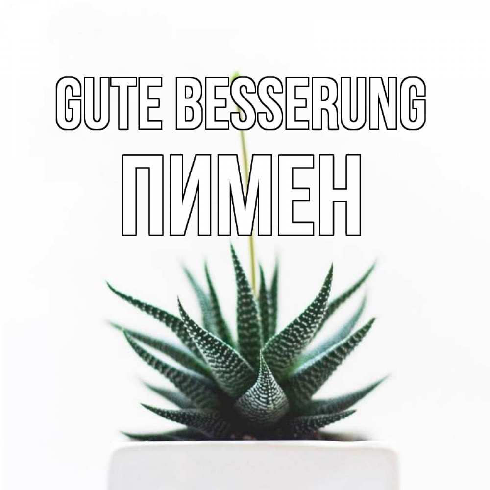 Открытка на каждый день с именем, Пимен Gute Besserung короче это непонятная колючка Прикольная открытка с пожеланием онлайн скачать бесплатно 