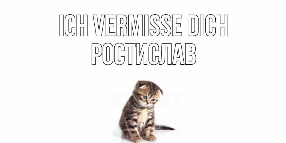 Открытка на каждый день с именем, Ростислав Ich vermisse dich кот Прикольная открытка с пожеланием онлайн скачать бесплатно 