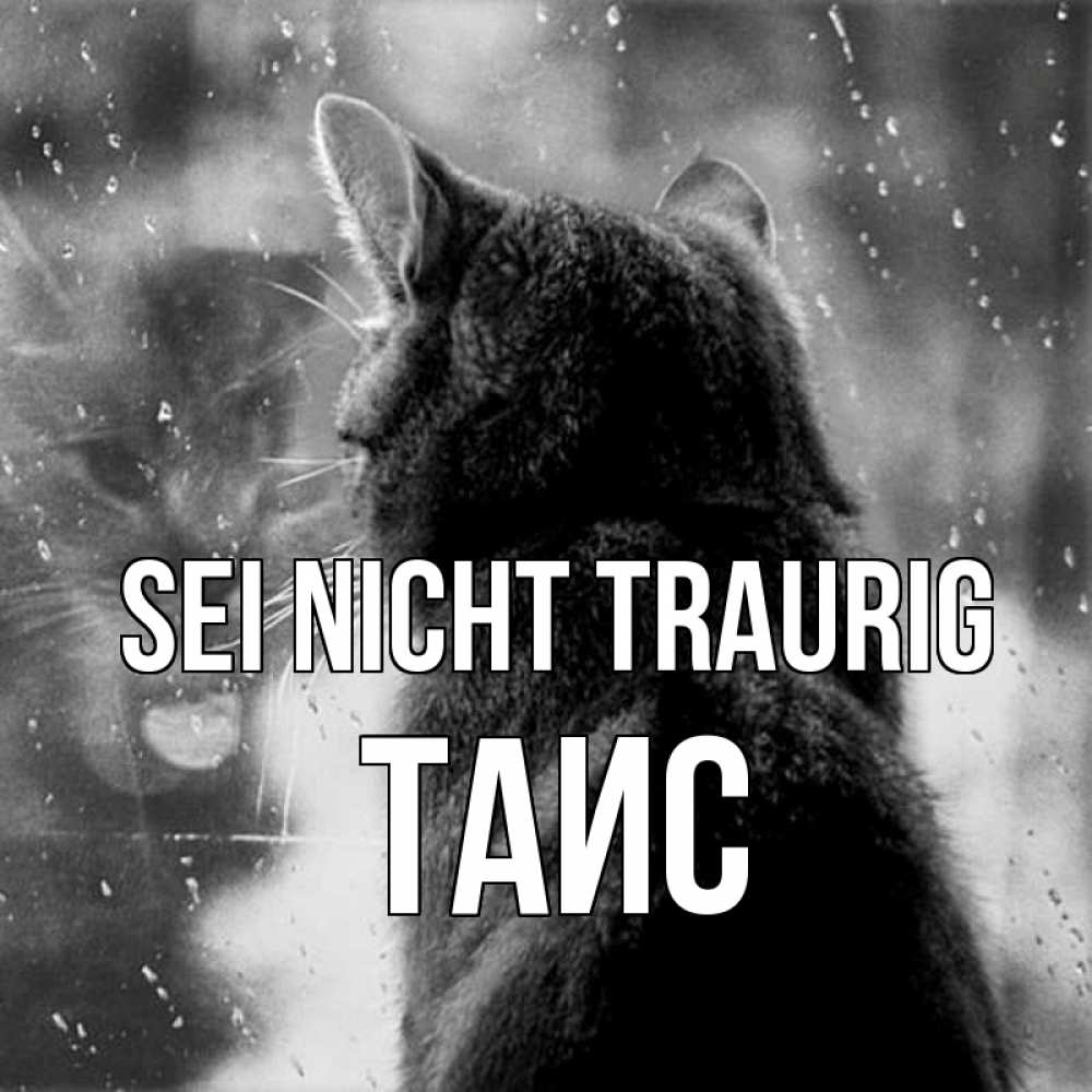 Открытка на каждый день с именем, Таис Sei nicht traurig отражение кота 1 Прикольная открытка с пожеланием онлайн скачать бесплатно 