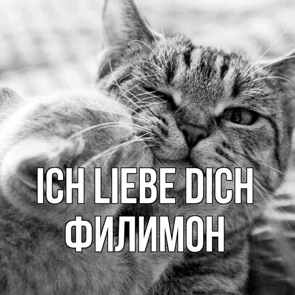 Открытка на каждый день с именем, Филимон Ich liebe dich коты Прикольная открытка с пожеланием онлайн скачать бесплатно 