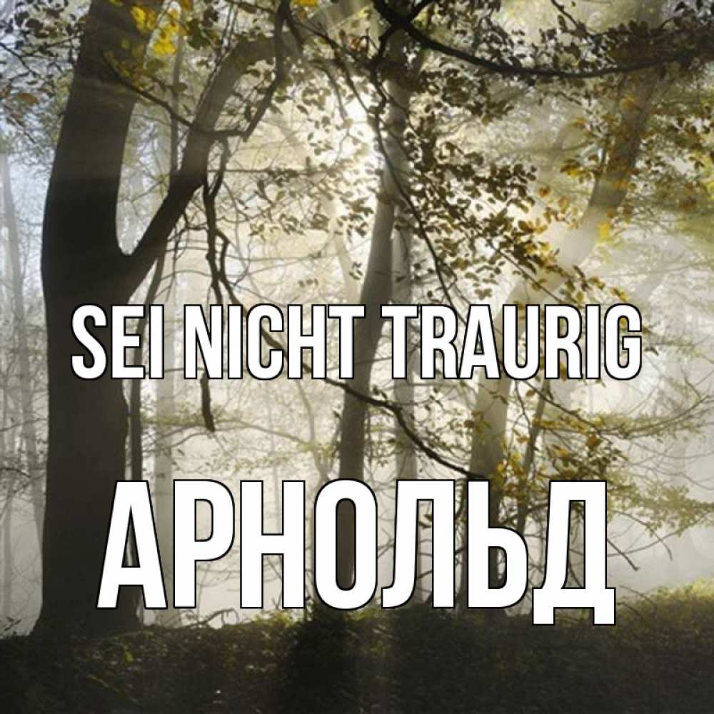 Открытка на каждый день с именем, Арнольд Sei nicht traurig лес и свет Прикольная открытка с пожеланием онлайн скачать бесплатно 