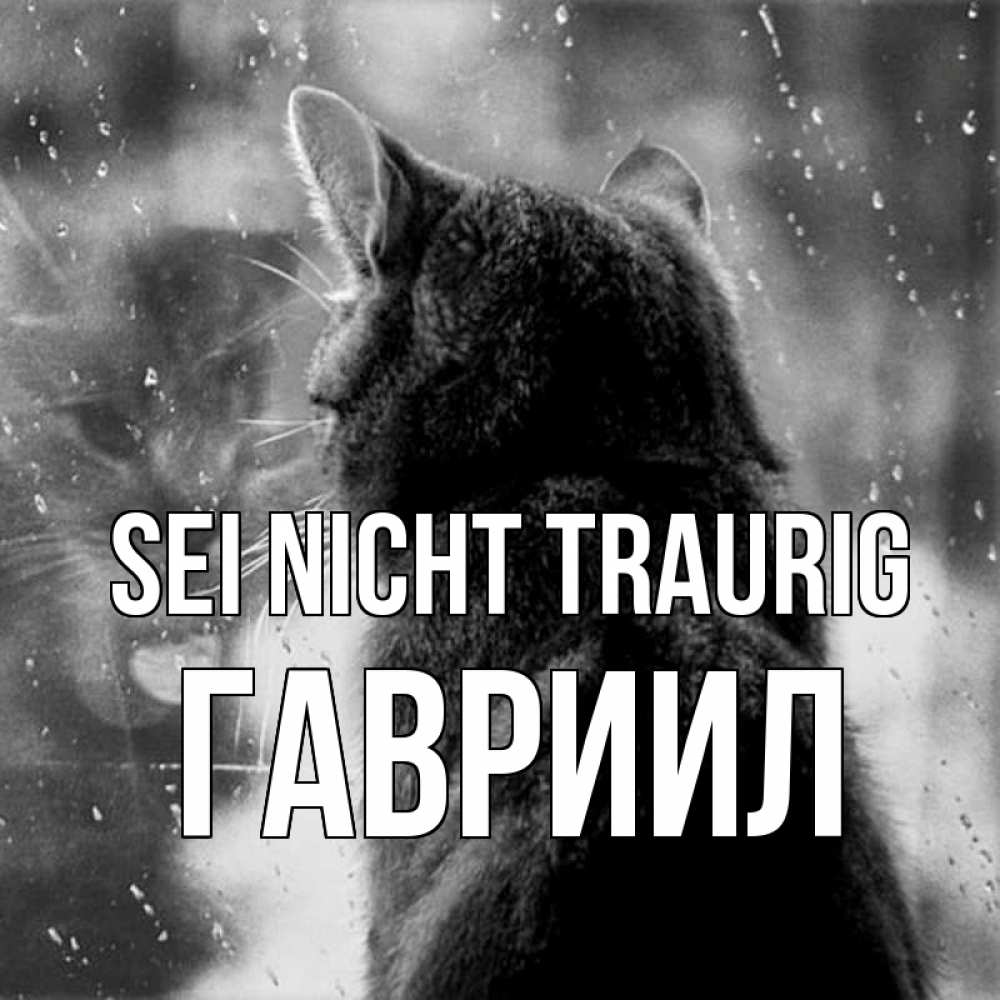 Открытка на каждый день с именем, Гавриил Sei nicht traurig отражение кота 1 Прикольная открытка с пожеланием онлайн скачать бесплатно 