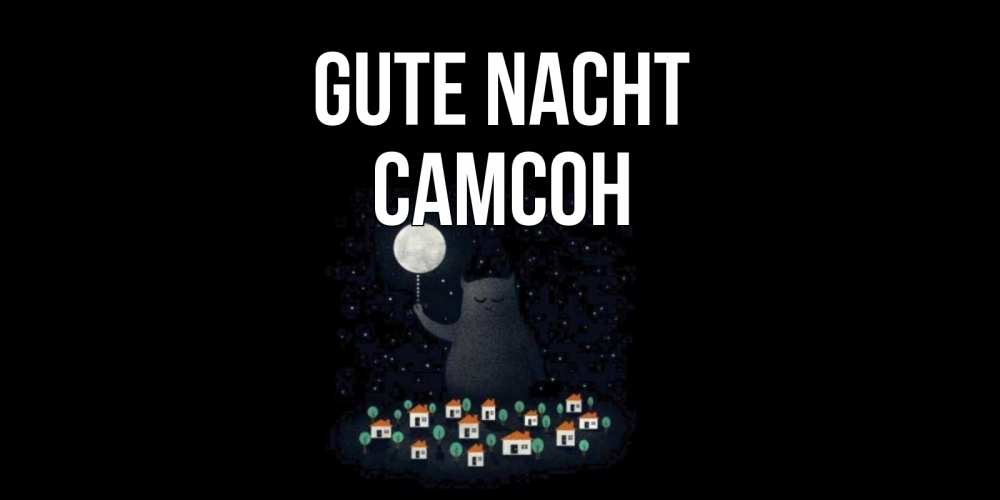 Открытка на каждый день с именем, Самсон Gute Nacht кот,луна, ночь, звезды Прикольная открытка с пожеланием онлайн скачать бесплатно 