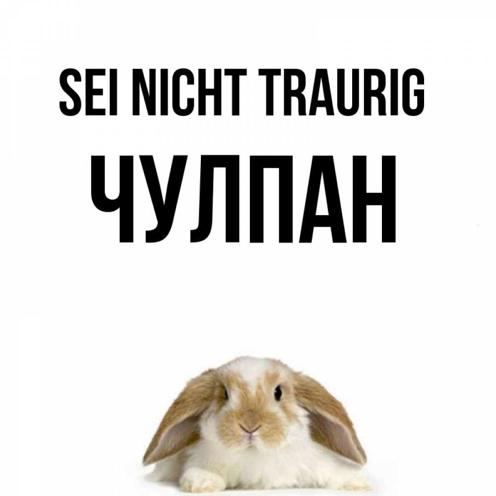 Открытка на каждый день с именем, Чулпан Sei nicht traurig коричнево белый заяц с большими ушками Прикольная открытка с пожеланием онлайн скачать бесплатно 