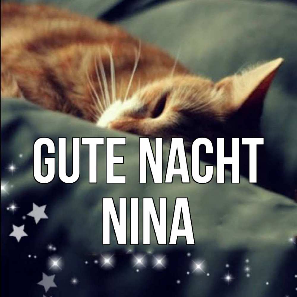 Открытка на каждый день с именем, Nina Gute Nacht кроватка Прикольная открытка с пожеланием онлайн скачать бесплатно 