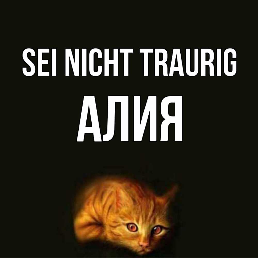 Открытка на каждый день с именем, Алия Sei nicht traurig лежащий кот в темноте Прикольная открытка с пожеланием онлайн скачать бесплатно 