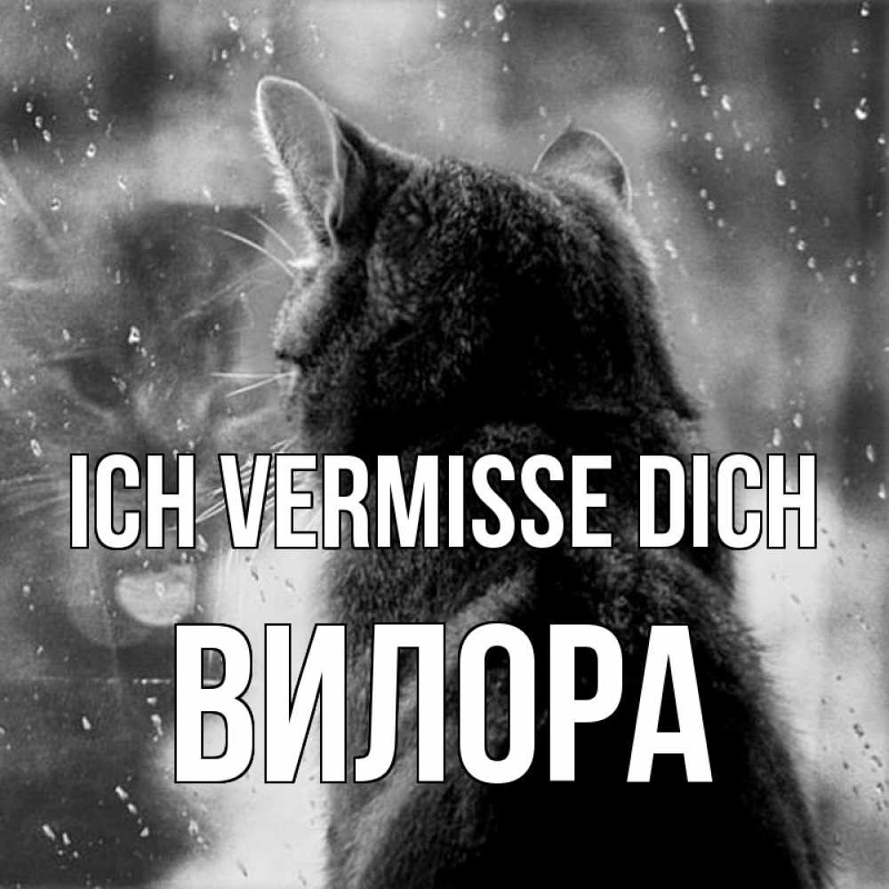 Открытка на каждый день с именем, Вилора Ich vermisse dich скорее ко мне приходи 1 Прикольная открытка с пожеланием онлайн скачать бесплатно 