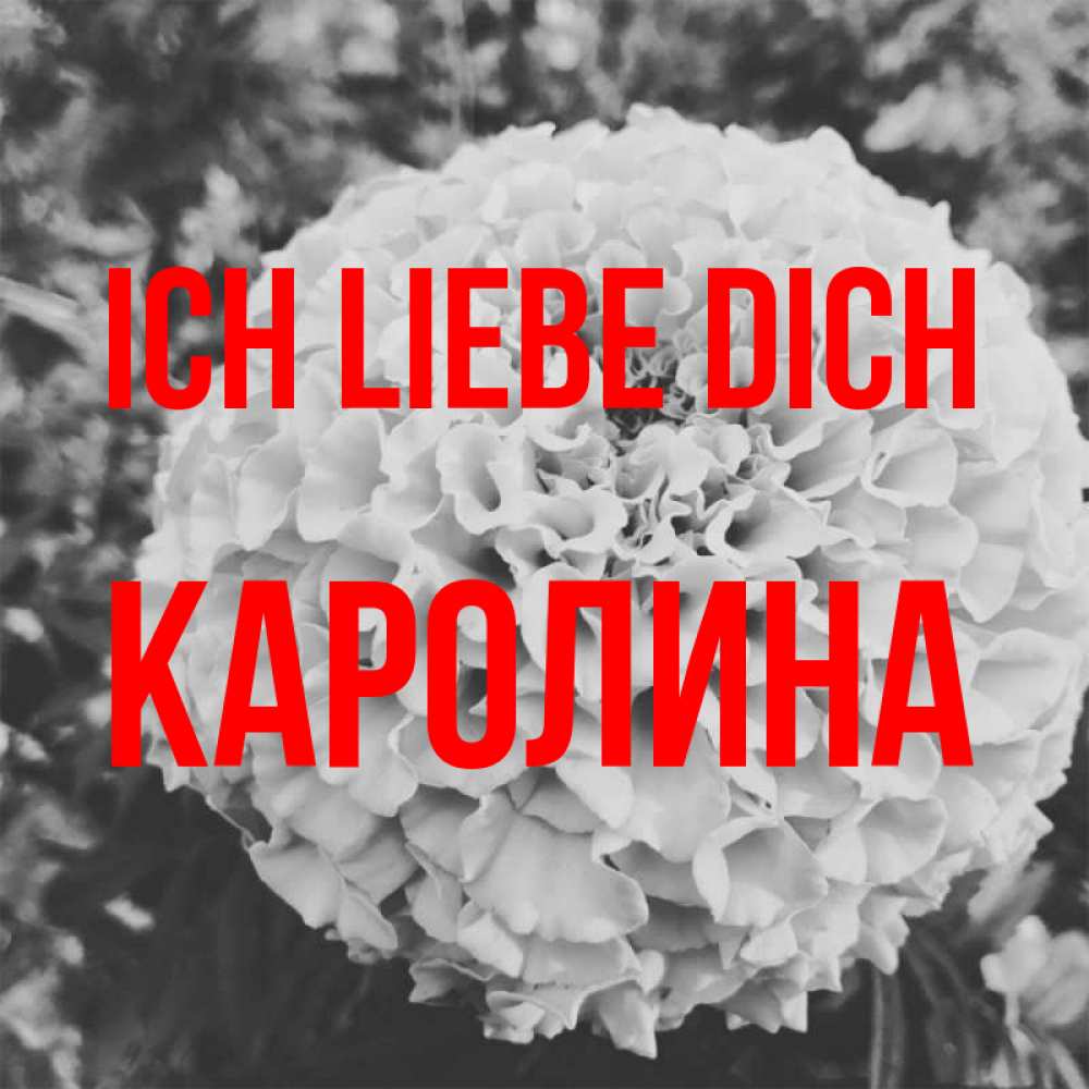 Открытка на каждый день с именем, Каролина Ich liebe dich подпись Прикольная открытка с пожеланием онлайн скачать бесплатно 
