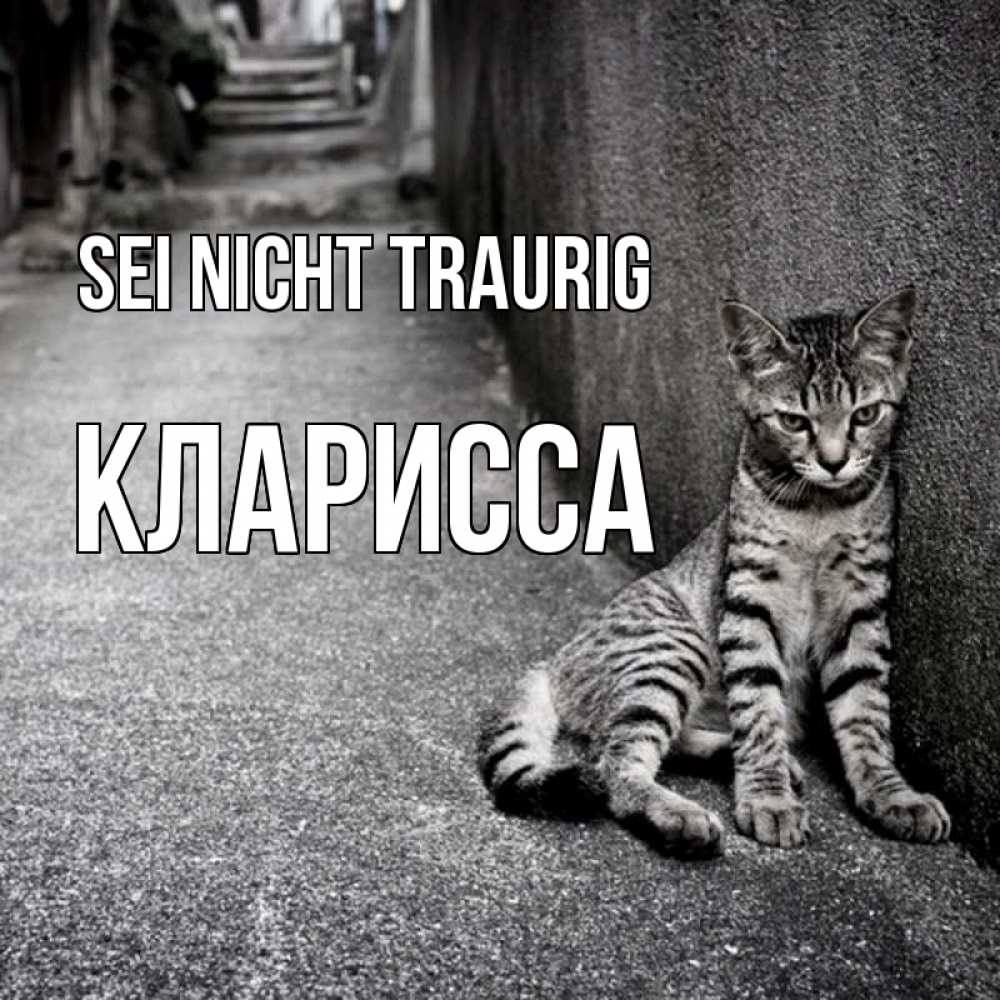 Открытка на каждый день с именем, Кларисса Sei nicht traurig скучающий котик Прикольная открытка с пожеланием онлайн скачать бесплатно 