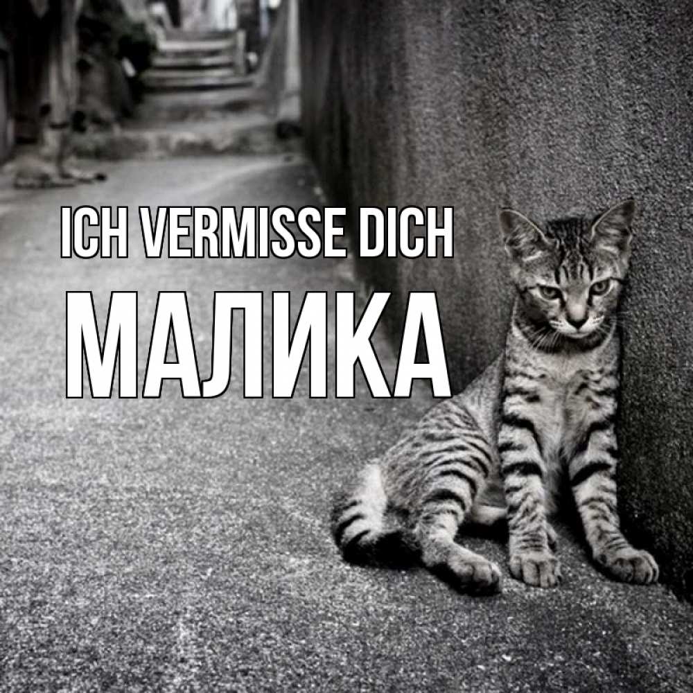 Открытка на каждый день с именем, Малика Ich vermisse dich одиноко котику Прикольная открытка с пожеланием онлайн скачать бесплатно 