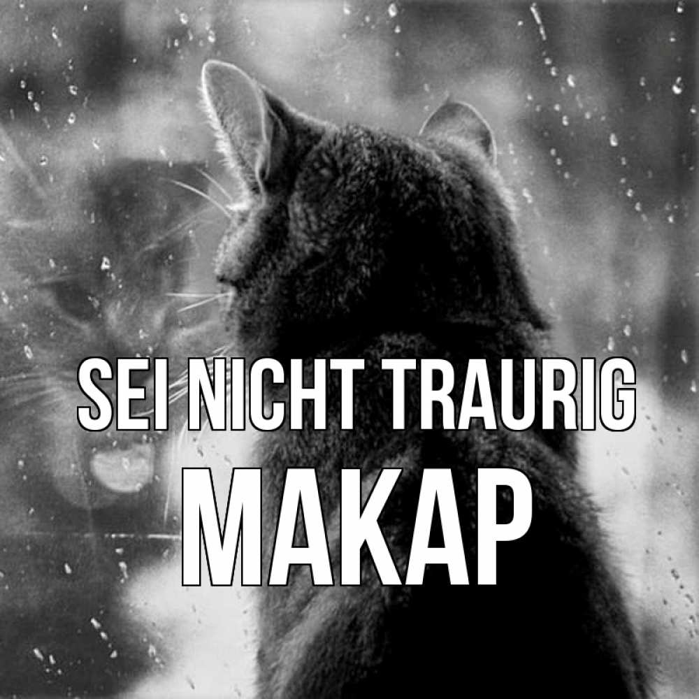 Открытка на каждый день с именем, Макар Sei nicht traurig отражение кота 1 Прикольная открытка с пожеланием онлайн скачать бесплатно 