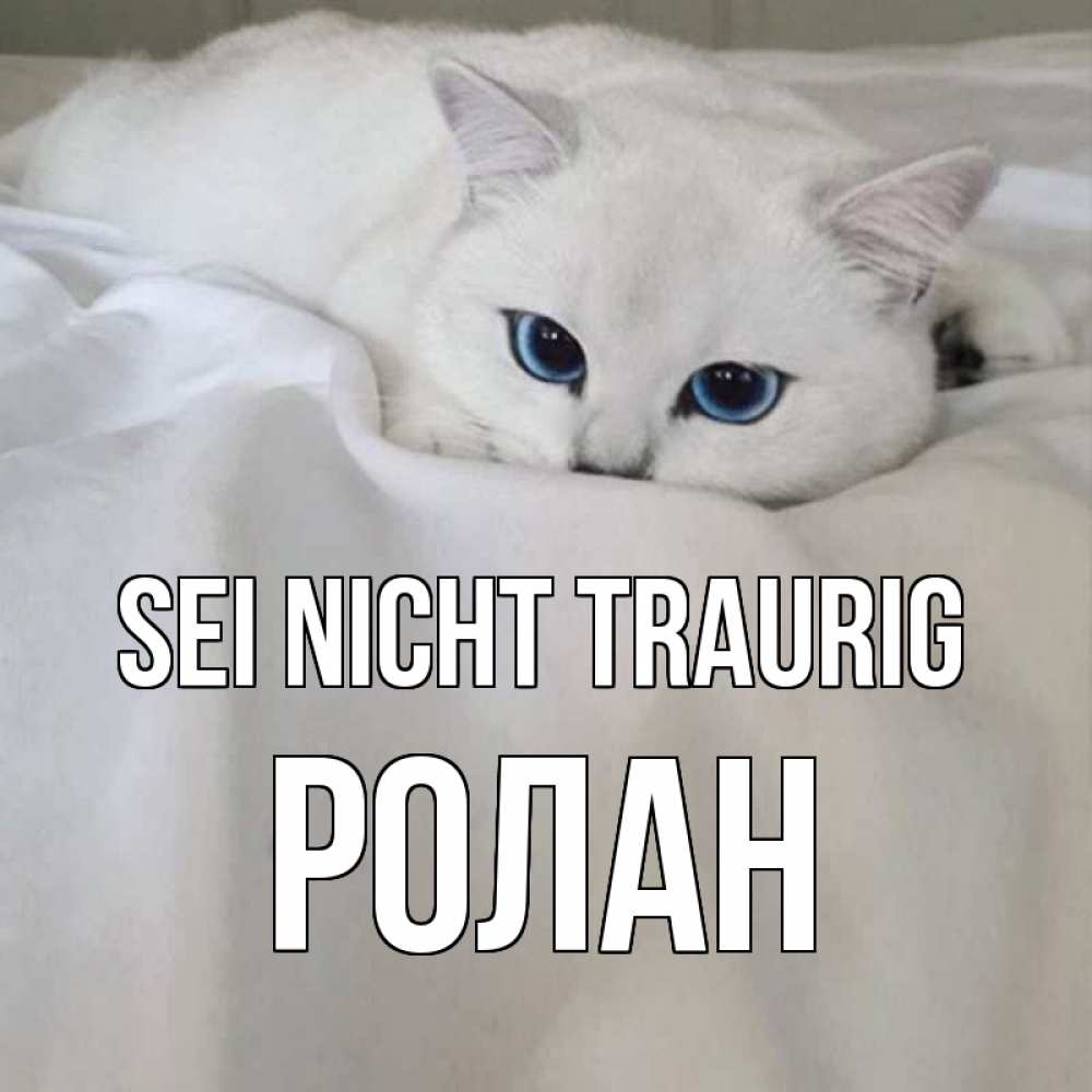 Открытка на каждый день с именем, Ролан Sei nicht traurig белый кот с голубыми глазами на белоснежной кровати Прикольная открытка с пожеланием онлайн скачать бесплатно 