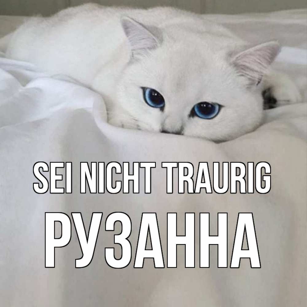 Открытка на каждый день с именем, Рузанна Sei nicht traurig белый кот с голубыми глазами на белоснежной кровати Прикольная открытка с пожеланием онлайн скачать бесплатно 