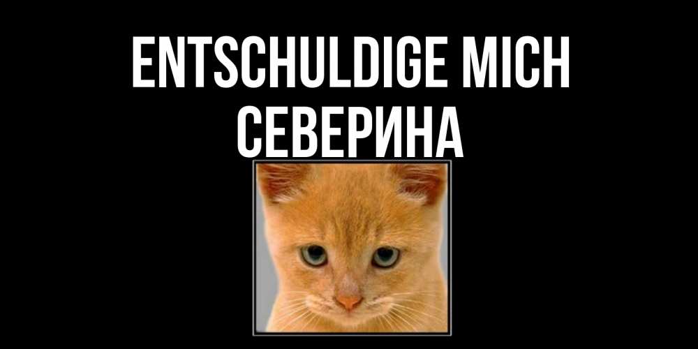 Открытка на каждый день с именем, Северина Entschuldige mich рыжий грустный кот просит прощения Прикольная открытка с пожеланием онлайн скачать бесплатно 