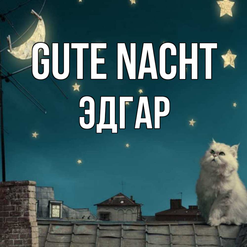 Открытка на каждый день с именем, Эдгар Gute Nacht белый кот сидит на крыше Прикольная открытка с пожеланием онлайн скачать бесплатно 