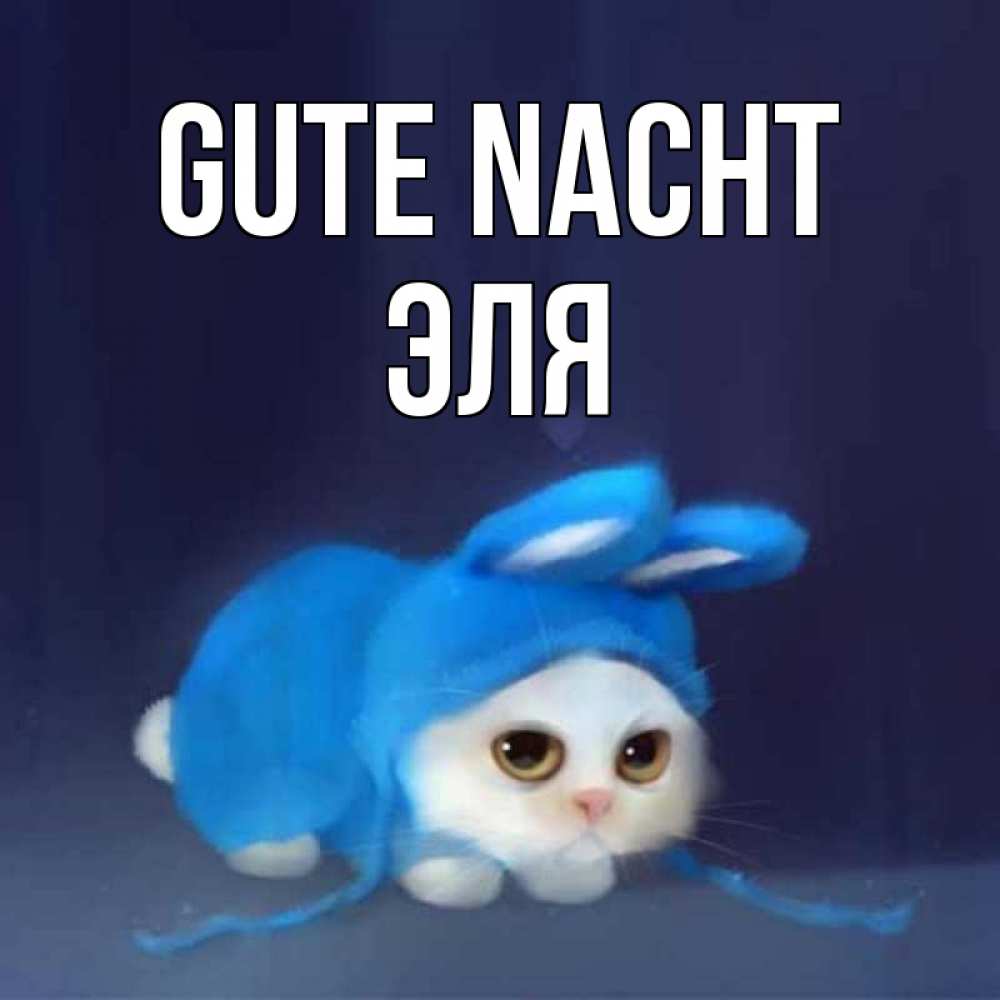 Открытка на каждый день с именем, Эля Gute Nacht кот в голубом костюме кролика с ушками Прикольная открытка с пожеланием онлайн скачать бесплатно 