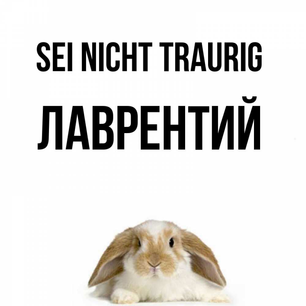 Открытка на каждый день с именем, Лаврентий Sei nicht traurig коричнево белый заяц с большими ушками Прикольная открытка с пожеланием онлайн скачать бесплатно 