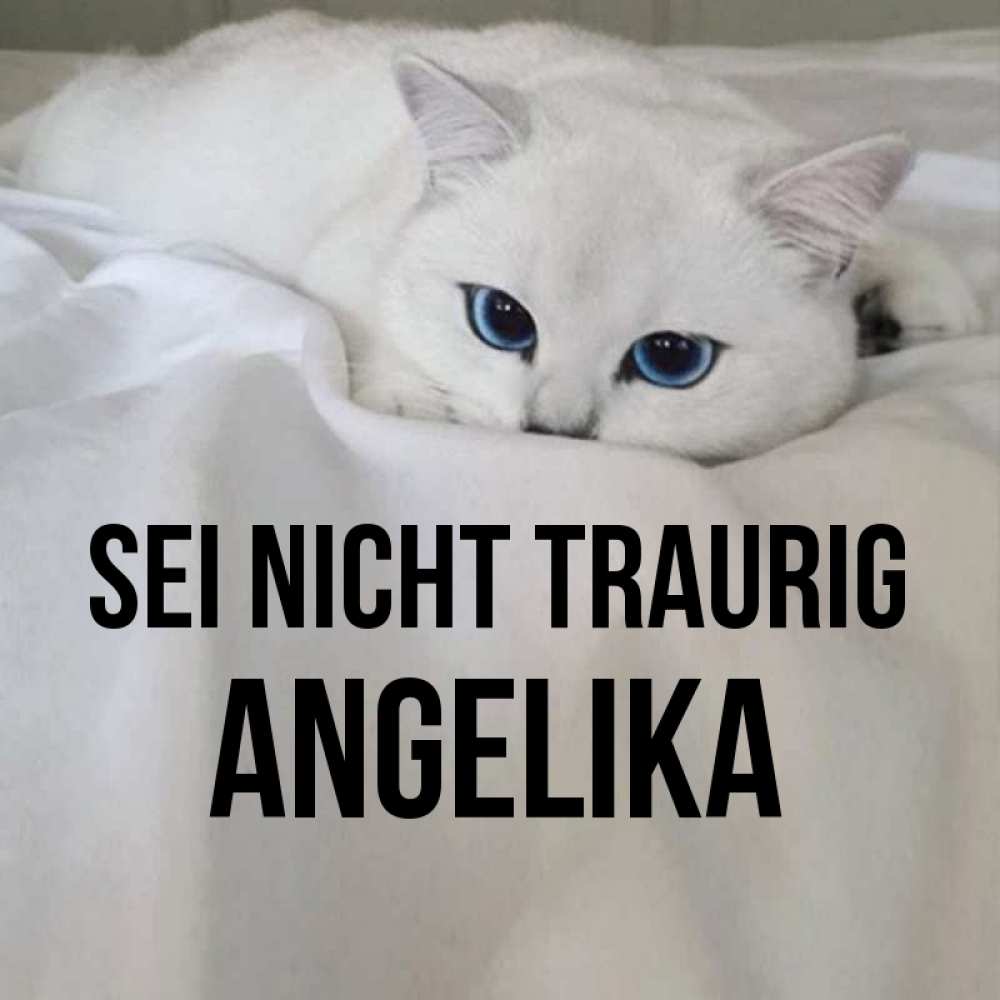 Открытка на каждый день с именем, Angelika Sei nicht traurig Голубоглазая кошка Прикольная открытка с пожеланием онлайн скачать бесплатно 