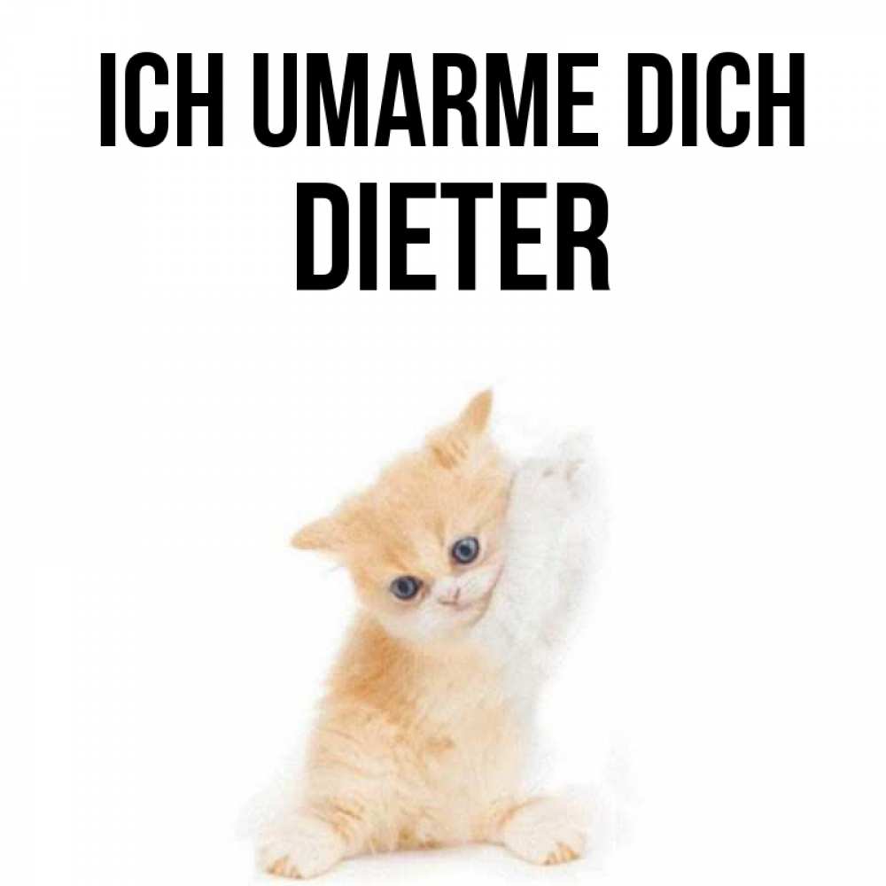 Открытка на каждый день с именем, Dieter Ich umarme dich я хочу очень скорее обнимаешек Прикольная открытка с пожеланием онлайн скачать бесплатно 