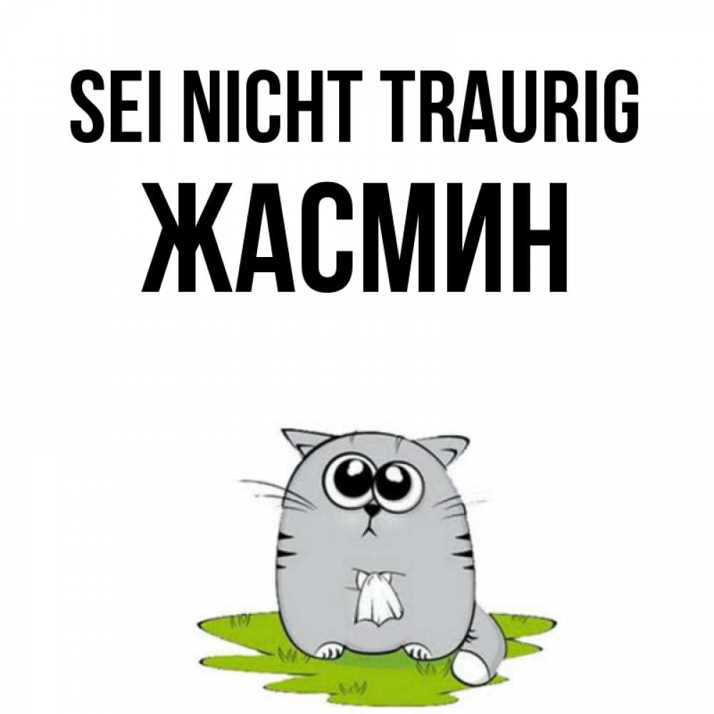 Открытка на каждый день с именем, Жасмин Sei nicht traurig грустный котяра Прикольная открытка с пожеланием онлайн скачать бесплатно 