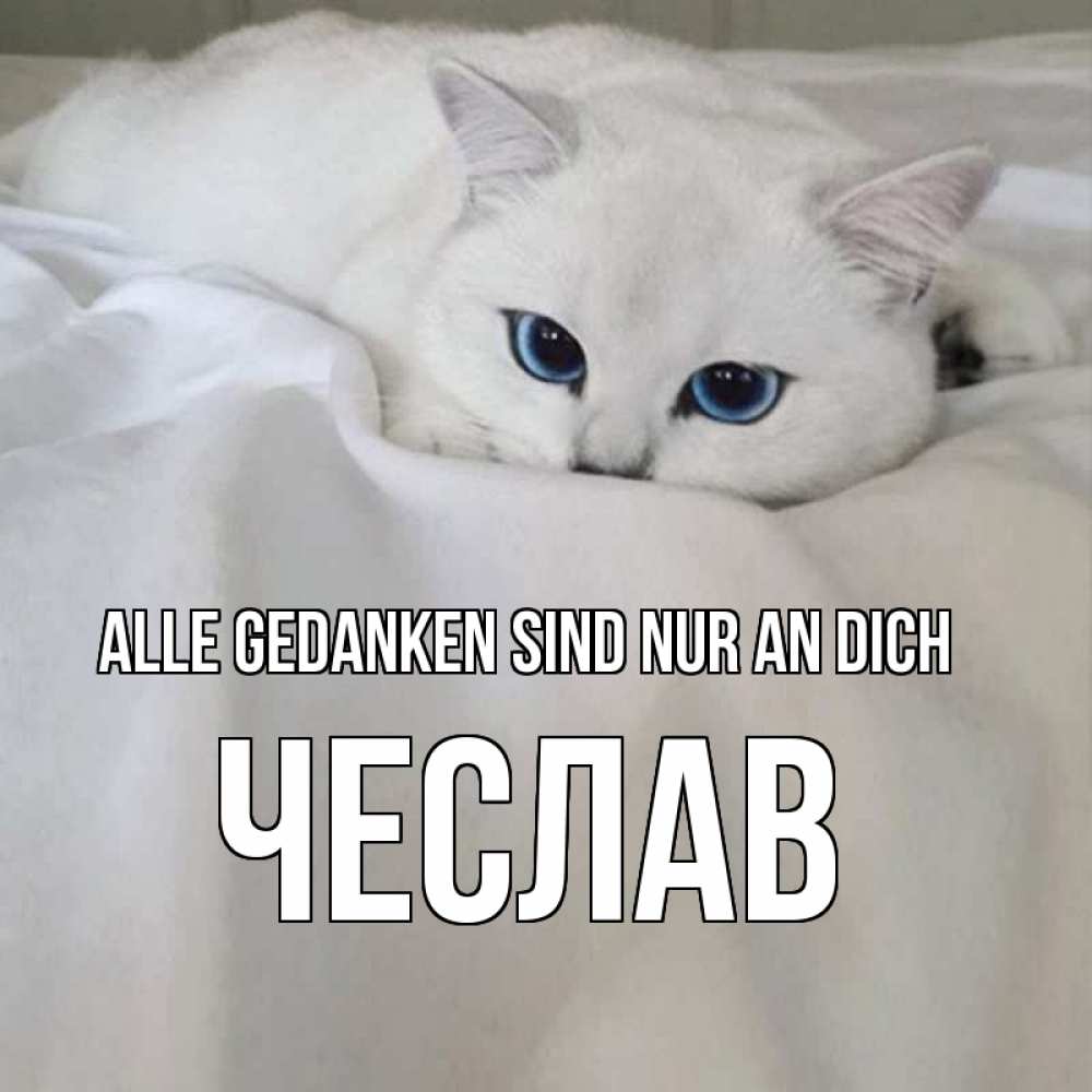 Открытка на каждый день с именем, Чеслав Alle Gedanken sind nur an dich я очень по тебе скучаю и тоскую Прикольная открытка с пожеланием онлайн скачать бесплатно 
