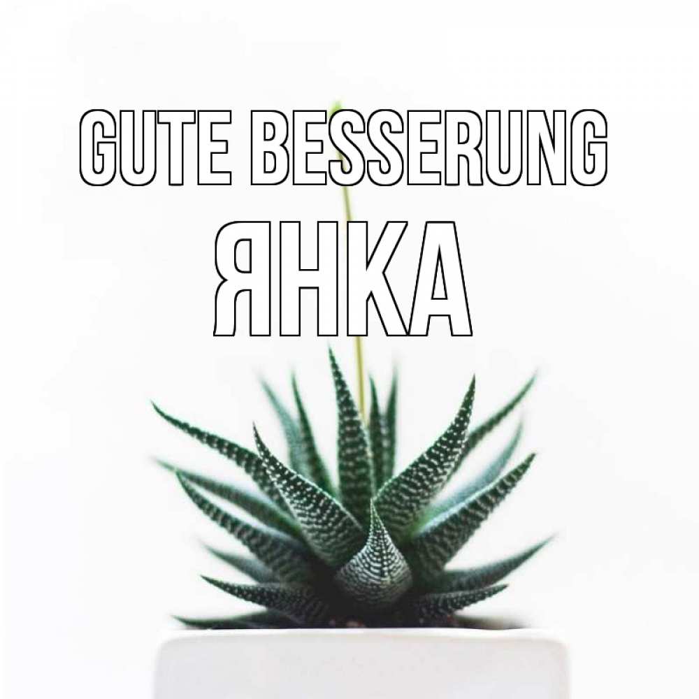 Открытка на каждый день с именем, Янка Gute Besserung короче это непонятная колючка Прикольная открытка с пожеланием онлайн скачать бесплатно 