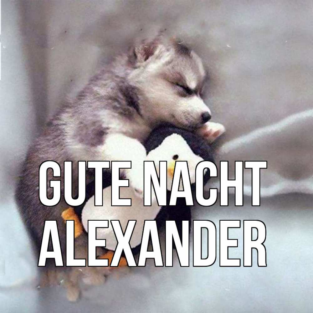 Открытка на каждый день с именем, Alexander Gute Nacht обнимашки щенка и пингвина Прикольная открытка с пожеланием онлайн скачать бесплатно 