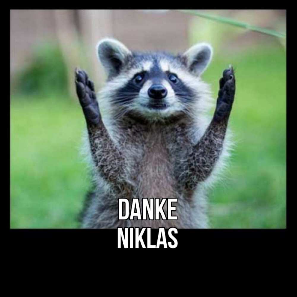 Открытка на каждый день с именем, Niklas Danke милые животные Прикольная открытка с пожеланием онлайн скачать бесплатно 