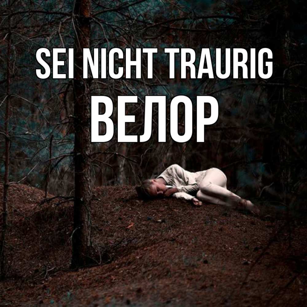 Открытка на каждый день с именем, Велор Sei nicht traurig лес Прикольная открытка с пожеланием онлайн скачать бесплатно 
